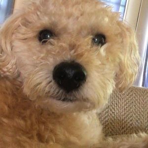 offers and price drop rn!